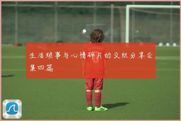 生活琐事与心情碎片的交织分享合集四篇