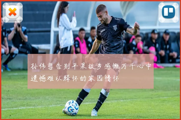 孙伟哲告别平果故乡感慨万千心中遗憾难以释怀的家园情怀